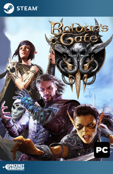 Baldur's Gate III 3 Steam [Online + Offline]